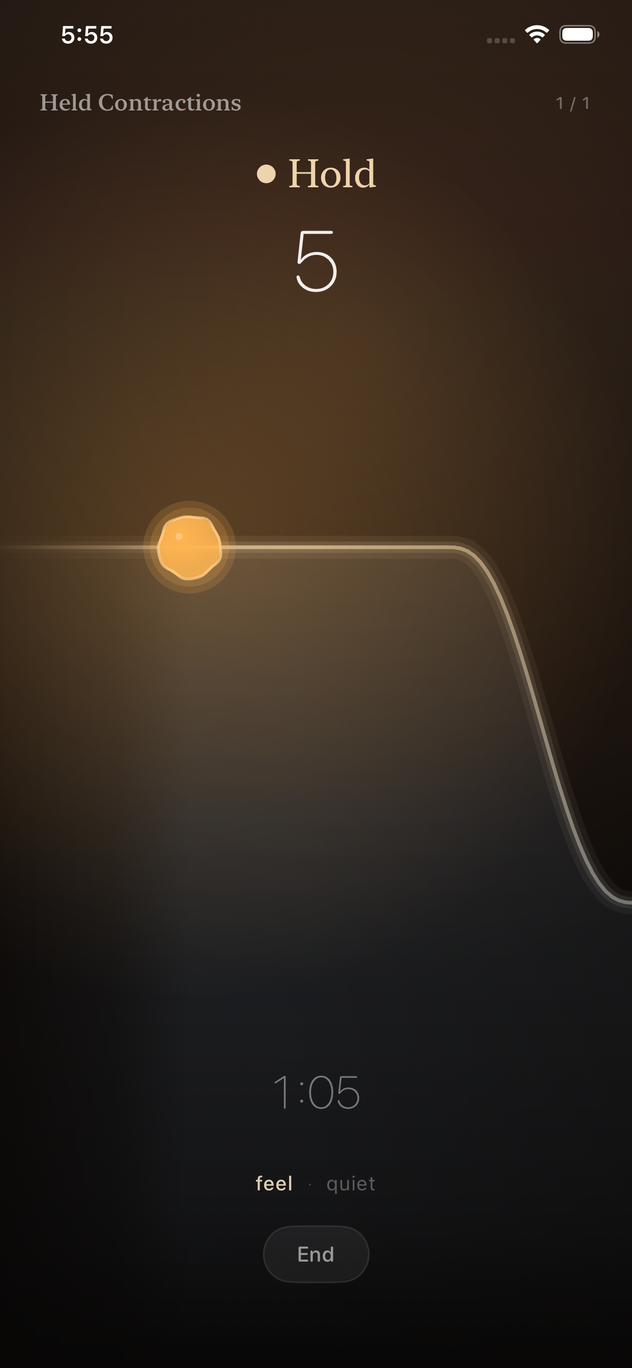 VIVAL — session with warm wave of light, hold phase