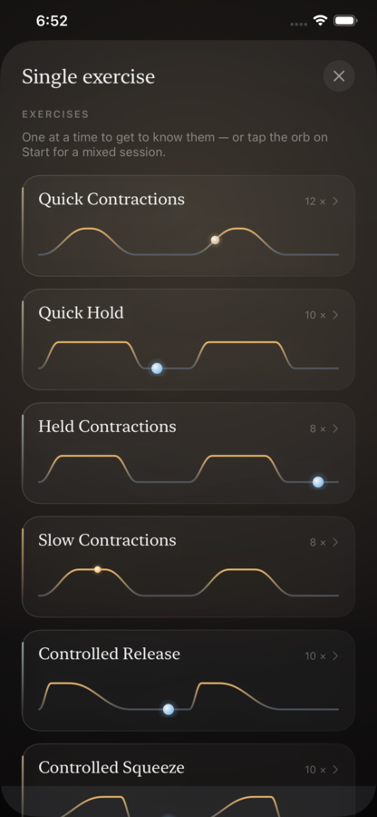 VIVAL — the seven exercises individually