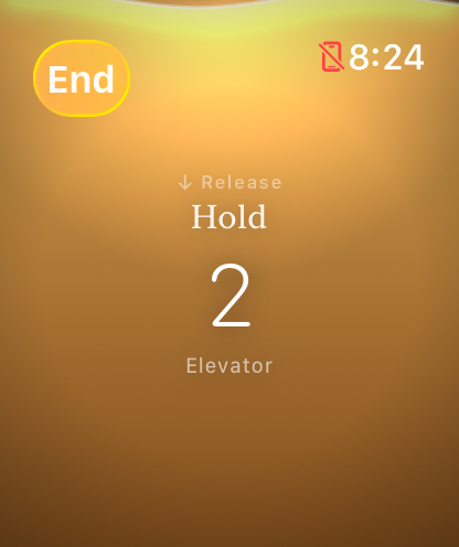 VIVAL on Apple Watch — hold