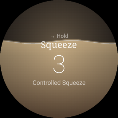 VIVAL on Wear OS — squeeze